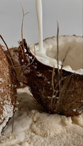 Leche de coco en polvo (MCTs)